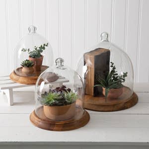 Medium Glass Bell Shaped Cloche with Wood Base