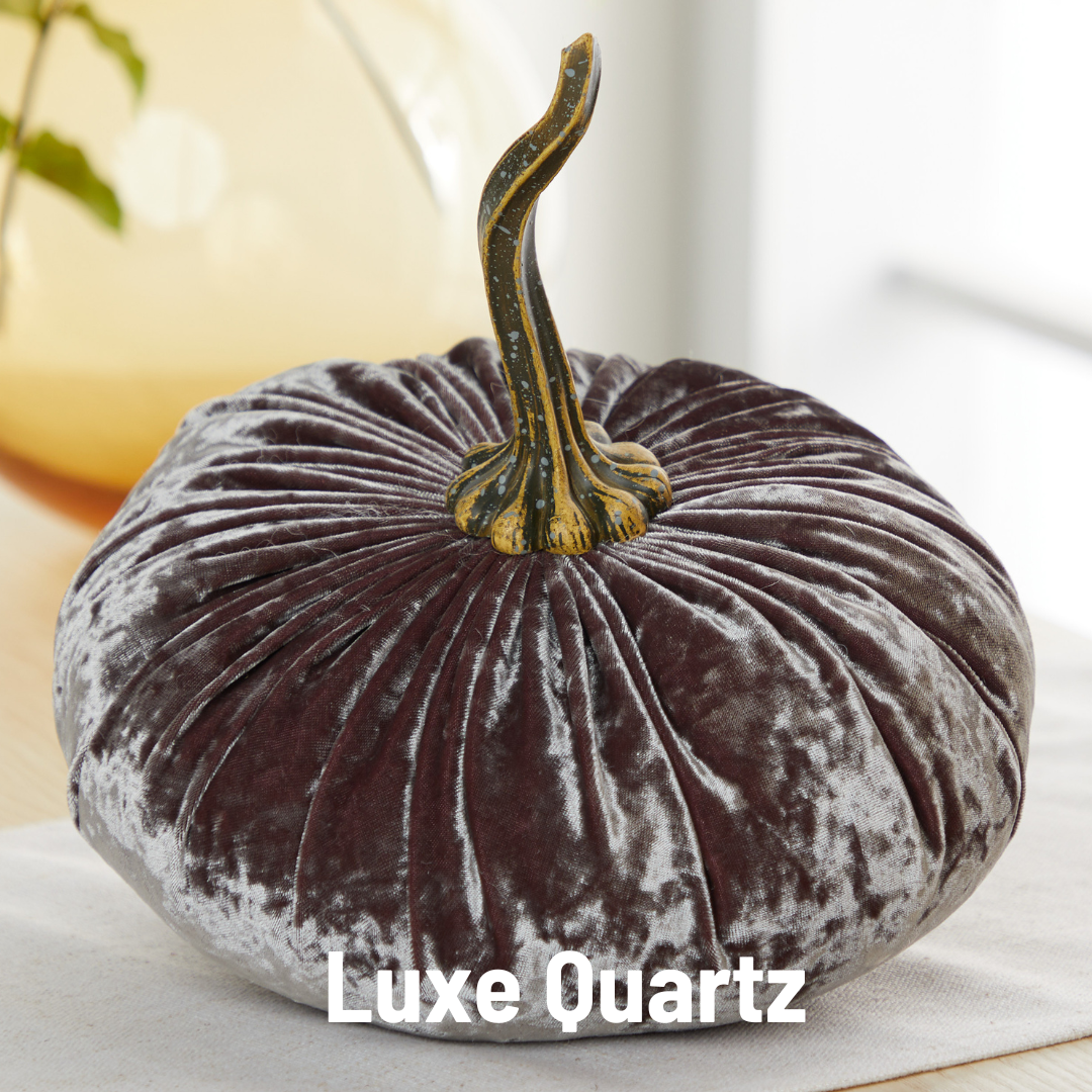 Pumpkin Extra Large Velvet, Fall Accent Decor, Centerpiece