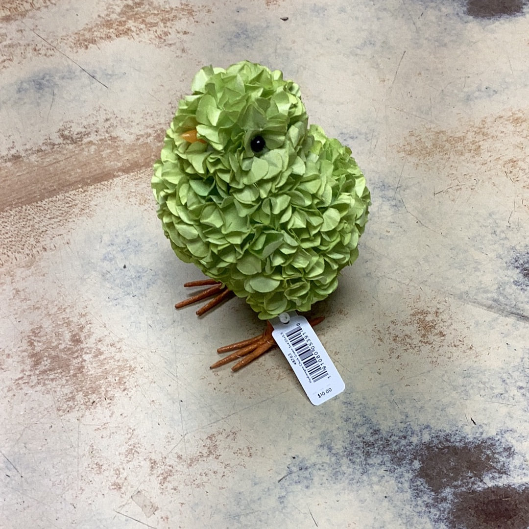 Hydrangea chick