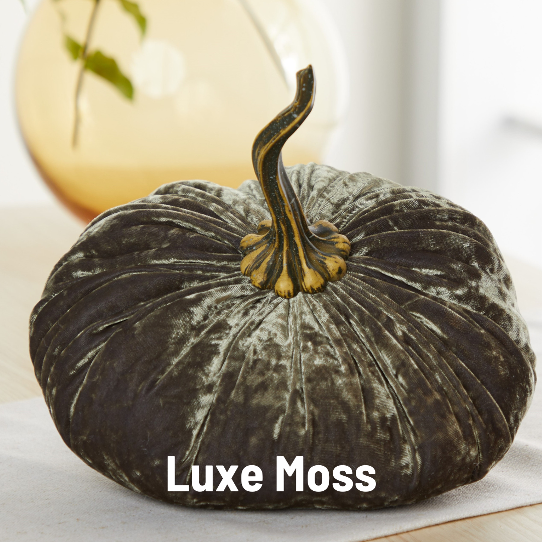 Pumpkin Extra Large Velvet, Fall Accent Decor, Centerpiece