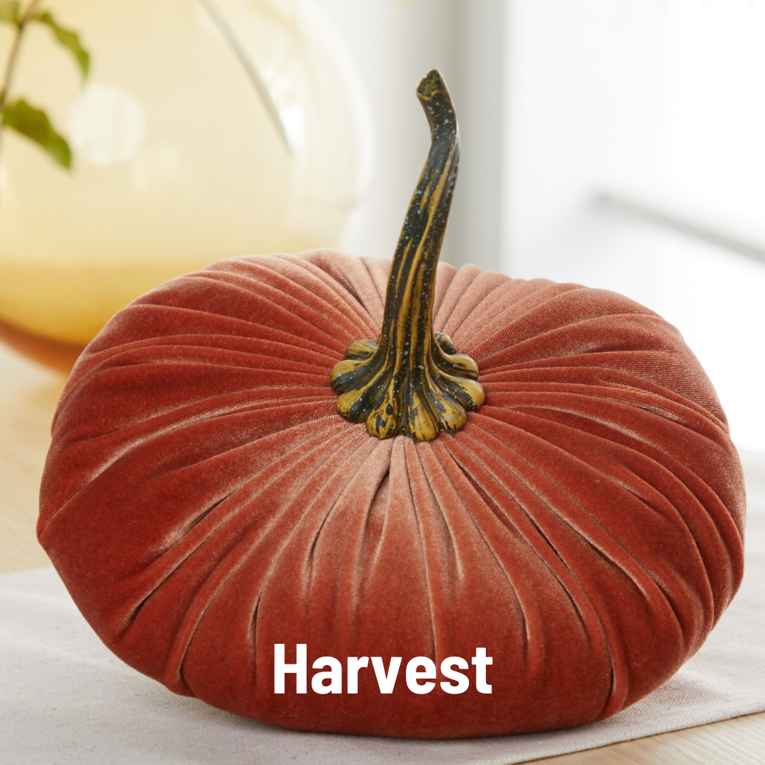 Pumpkin Extra Large Velvet, Fall Accent Decor, Centerpiece