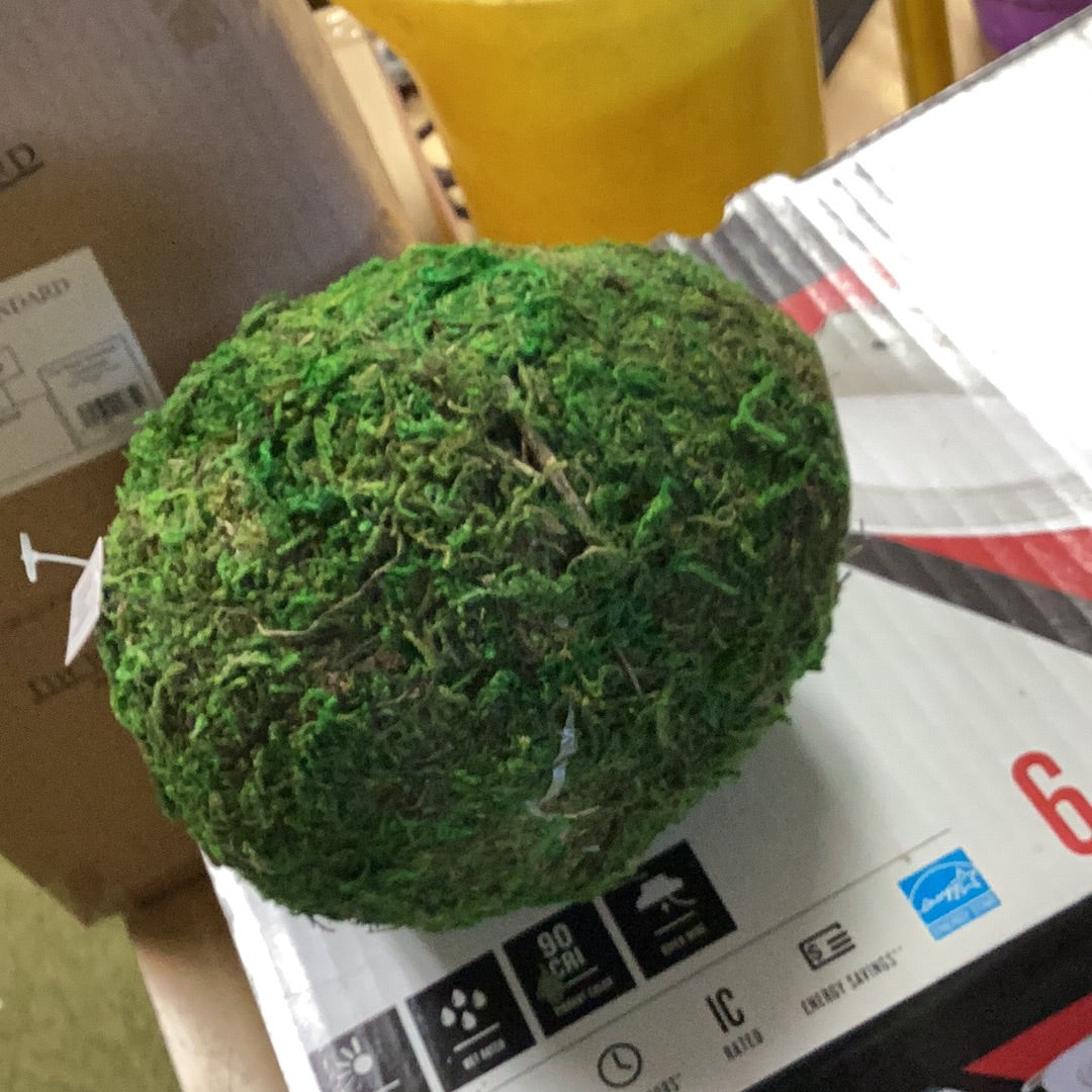 Moss egg