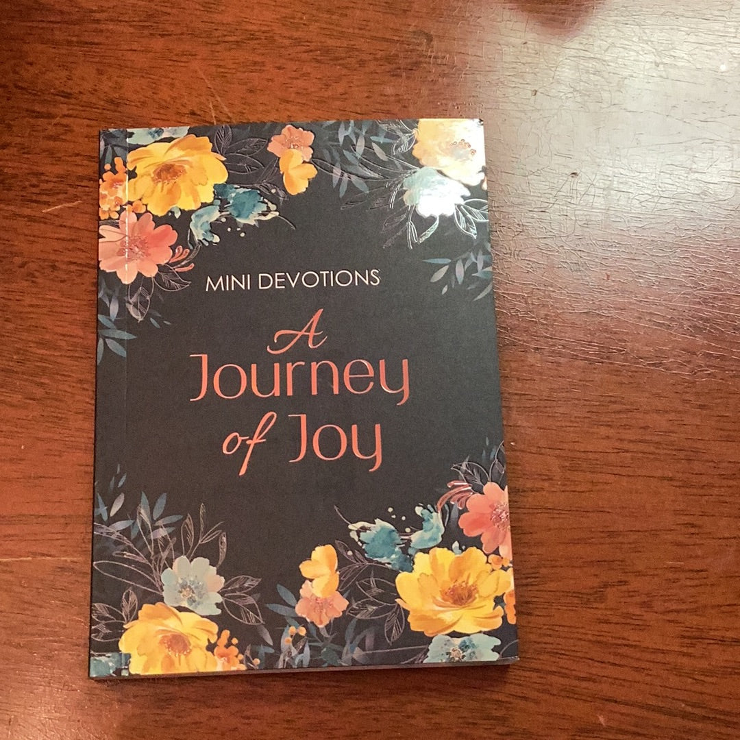 A journey of joy