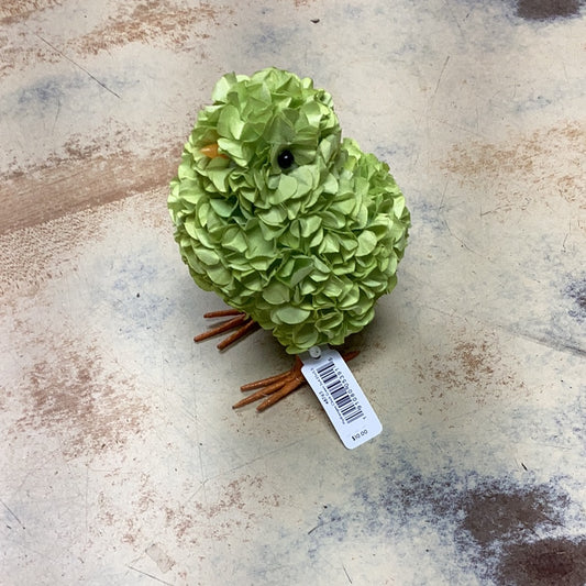 Hydrangea chick