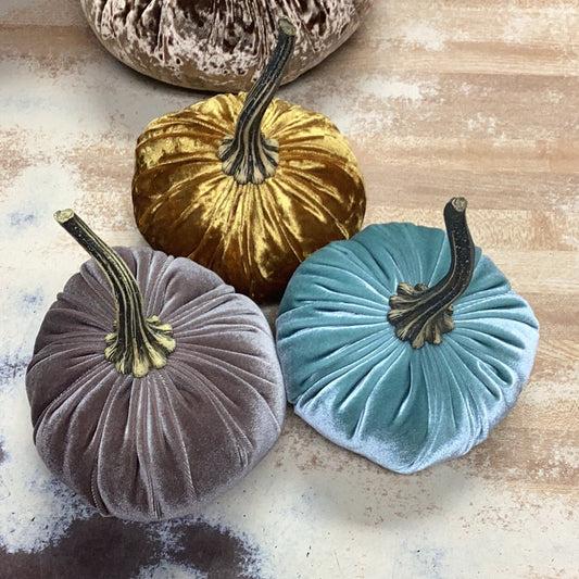 Medium pumpkin