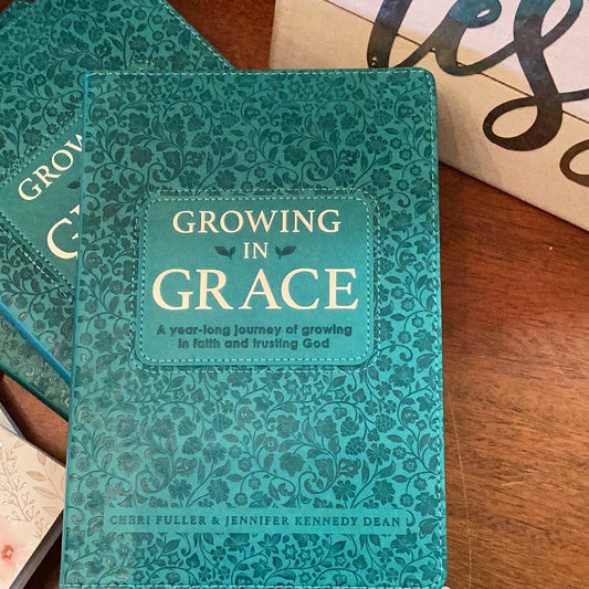Growing in grace a year long journey